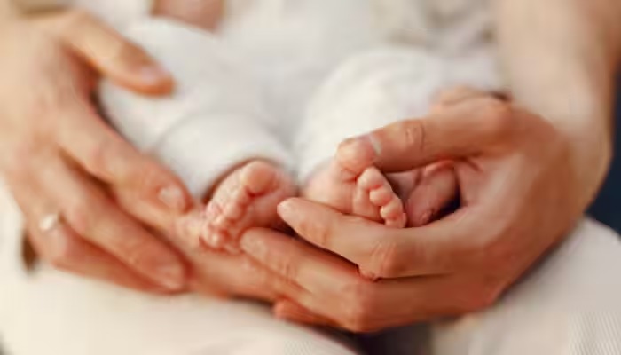 All You Need To Know About IVF: Procedure And How It Works - ZeeNews